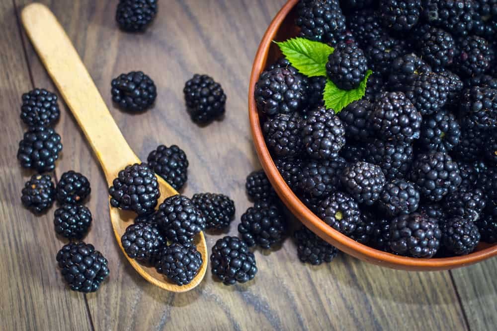 Blackberries