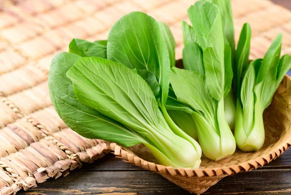 Bok Choy