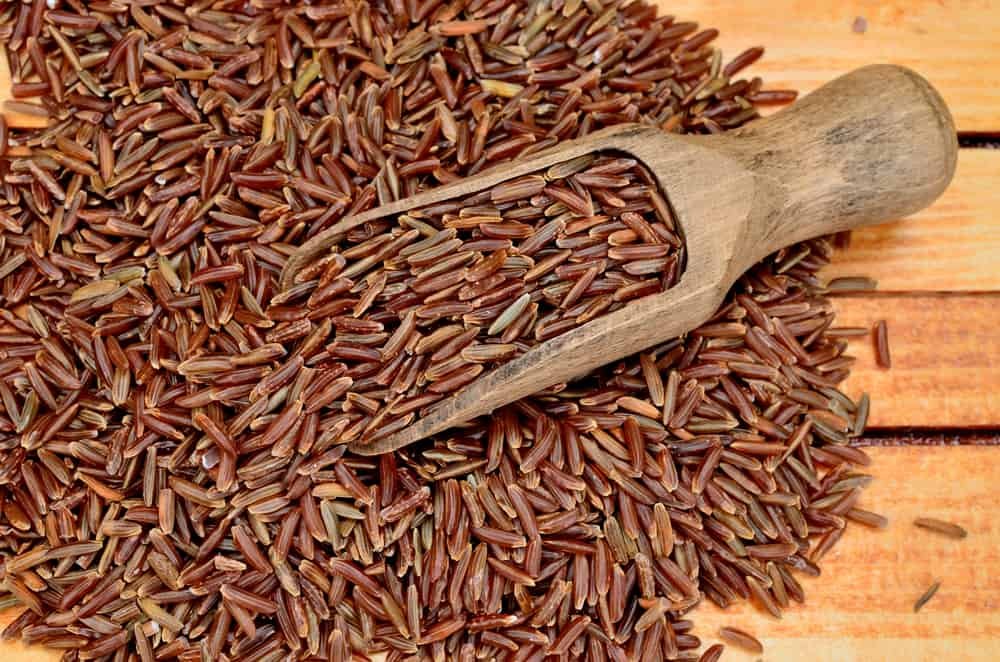 Brown Rice (Oryza sativa)