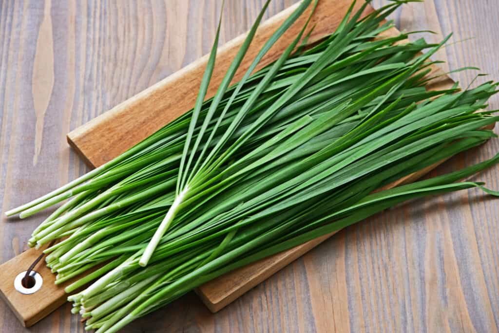 Chives