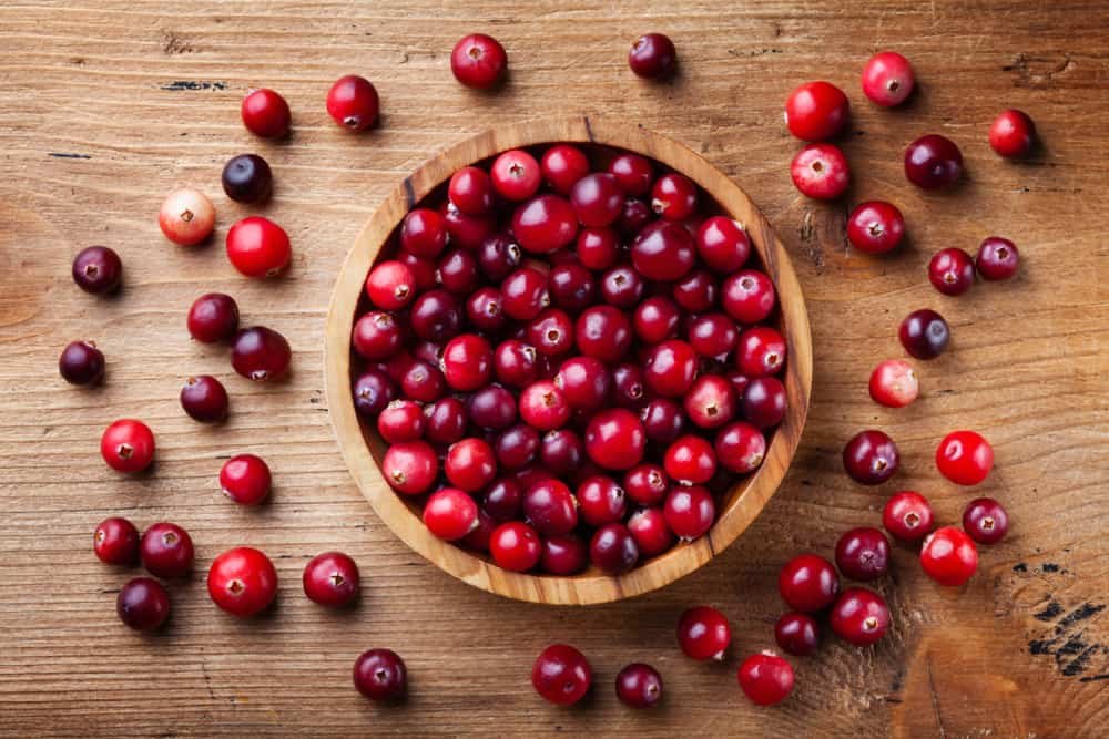 Cranberry