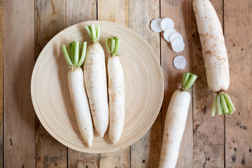 Daikon Radish