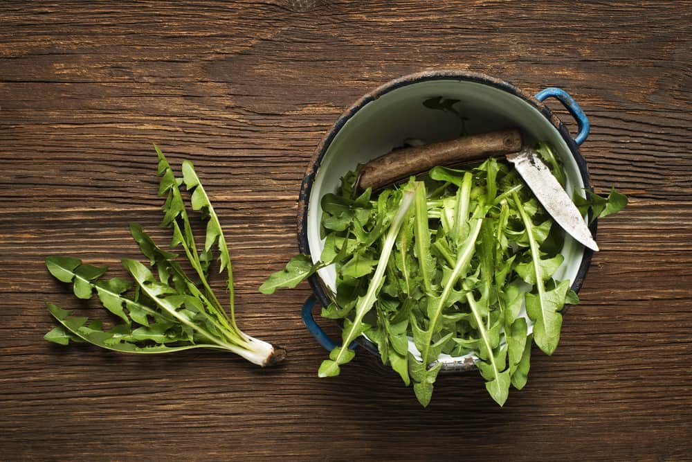 Dandelion Greens