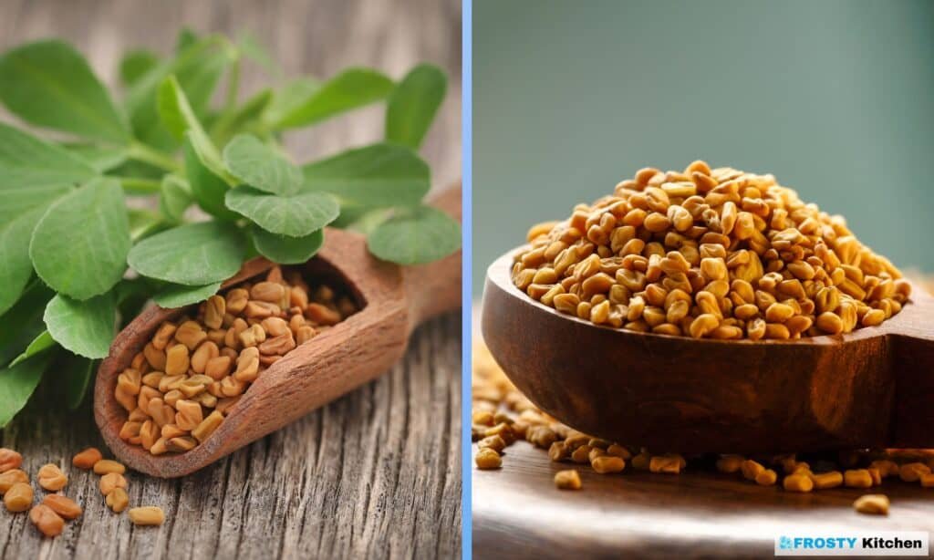 Fenugreek Seed