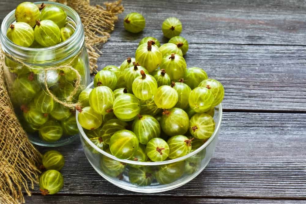 Gooseberries