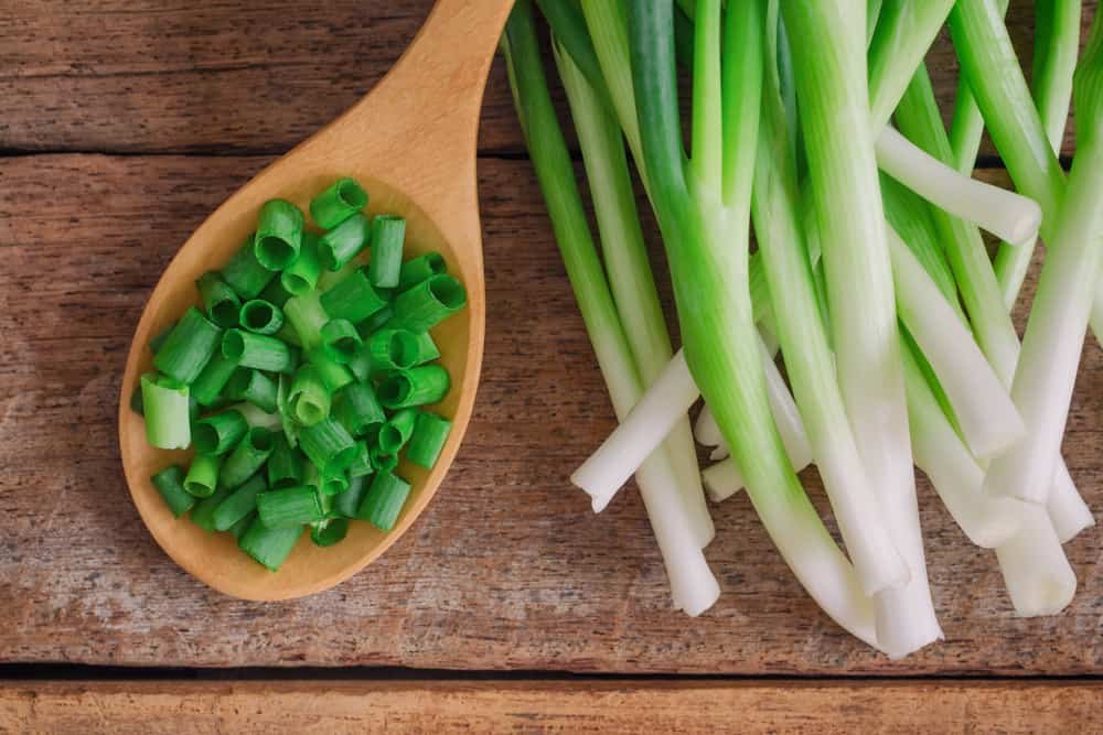 Green Onion (Spring Onion)