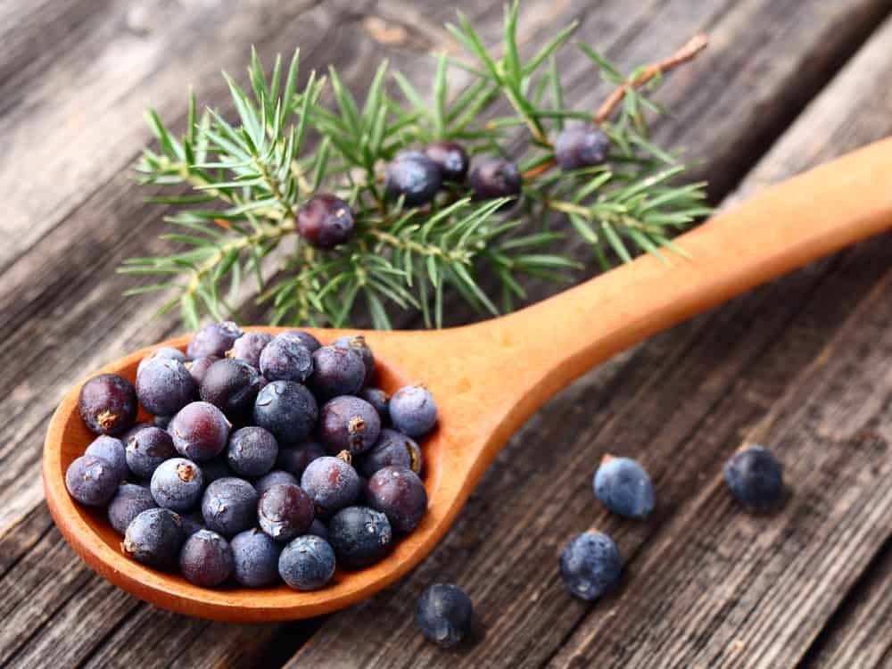 Juniper Berries