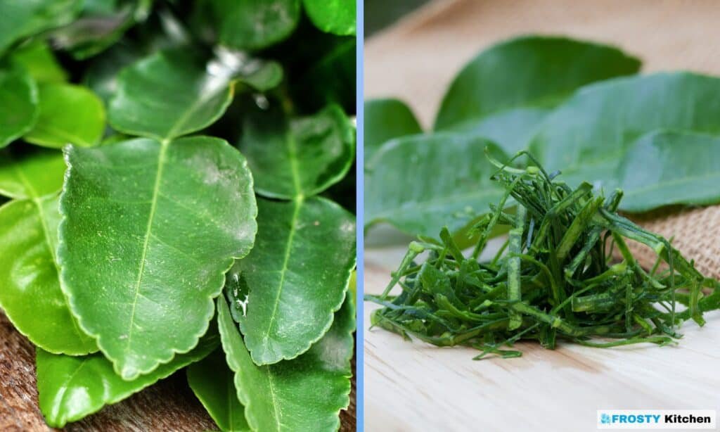 A Comprehensive Guide to Freezing Kaffir Lime Leaves