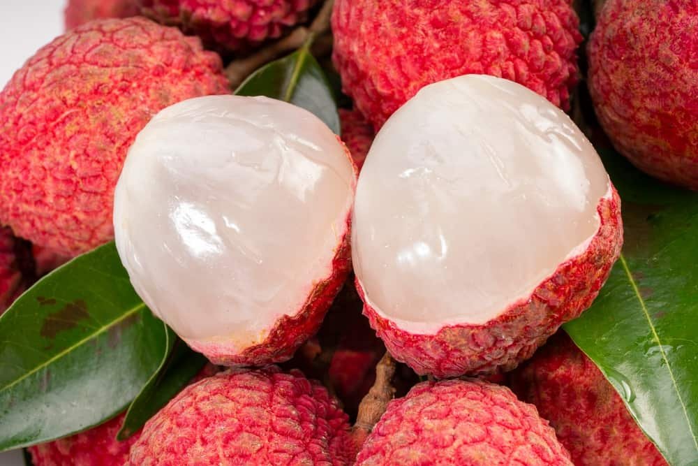 Lychee