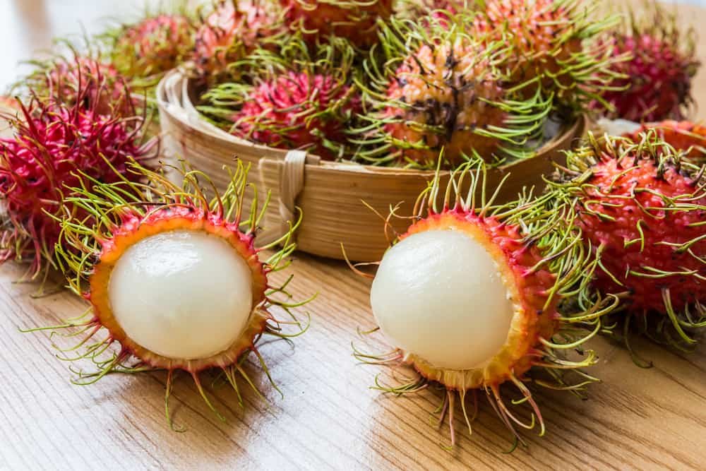 Rambutan