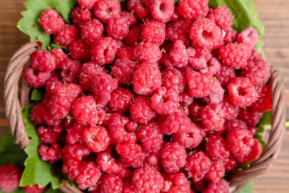 Raspberries