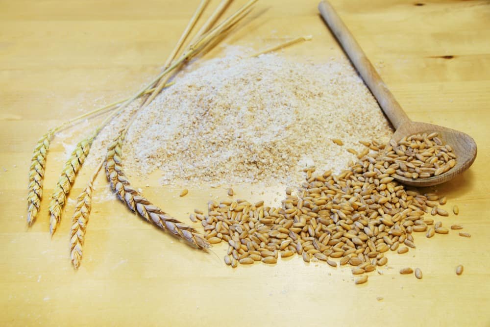 Spelt (Triticum aestivum spelta)