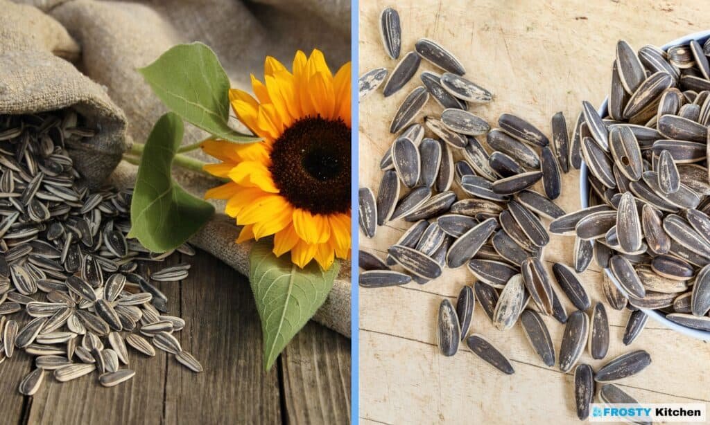 How to Freeze Sunflower Seeds