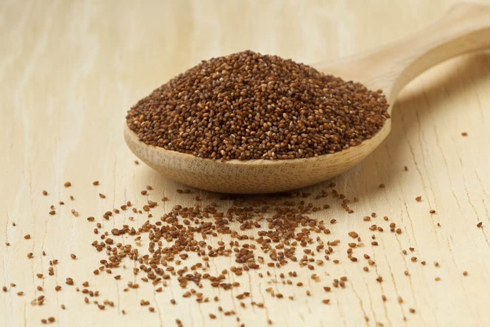 Teﬀ (Eragrostis tef)