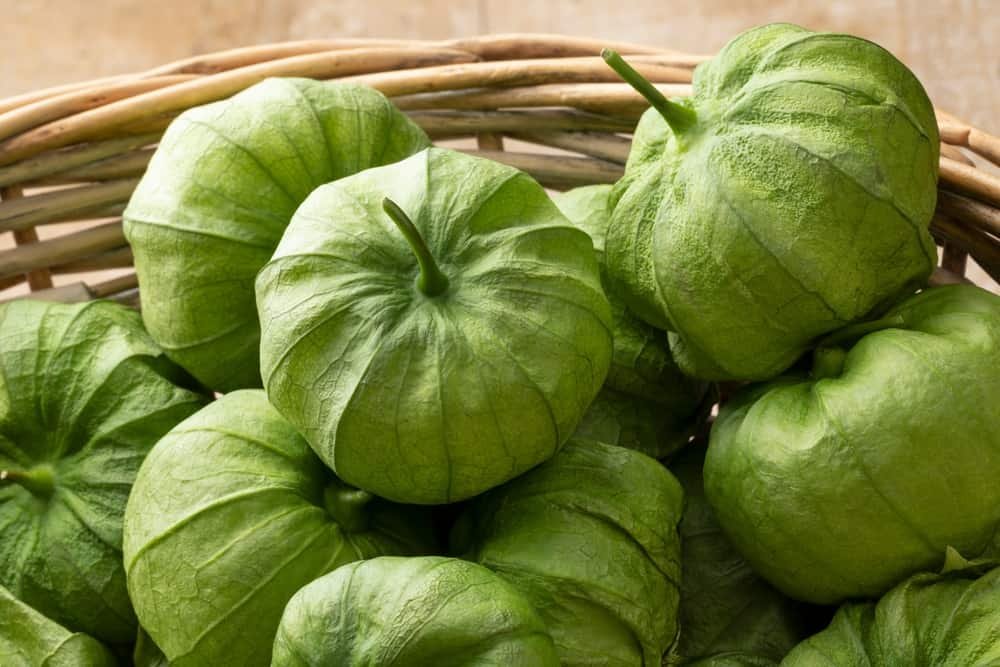 Tomatillo