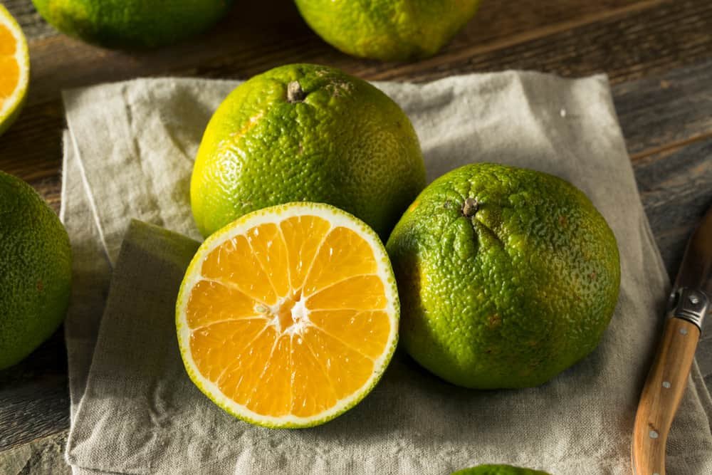 Ugli Fruit