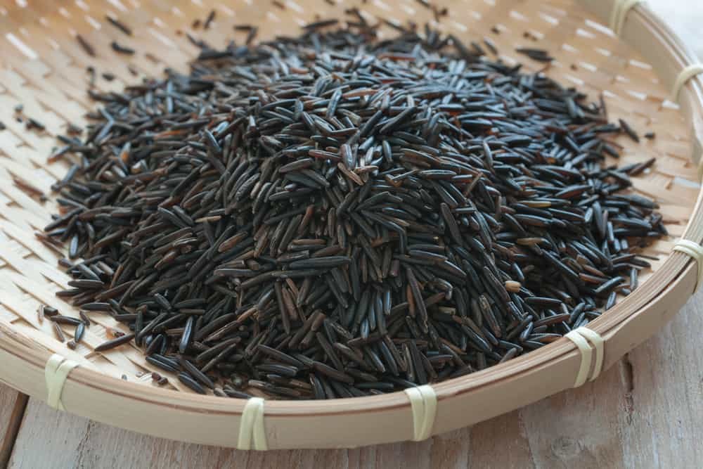 Wild Rice (Zizania)