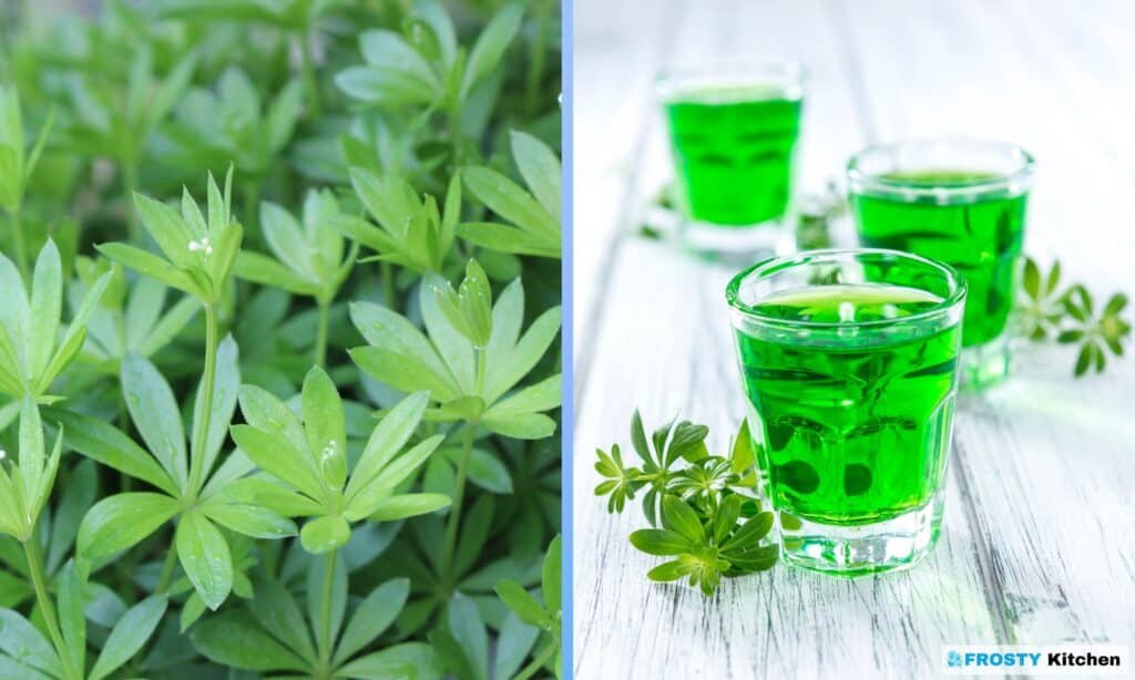 Preserving the Sweet Herb A Detailed Guide to Freezing Woodruff