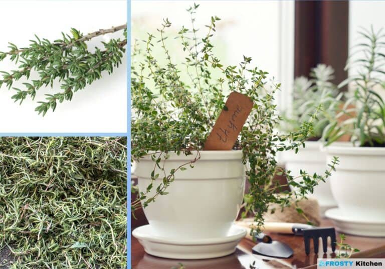 Your Comprehensive Guide to Freezing Lemon Thyme