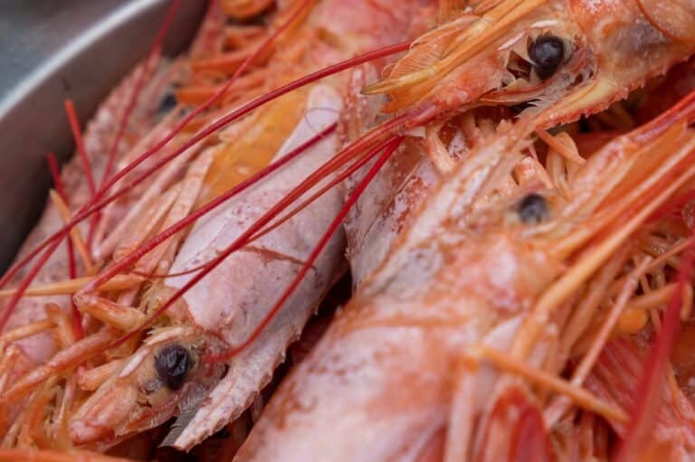 frozen prawns